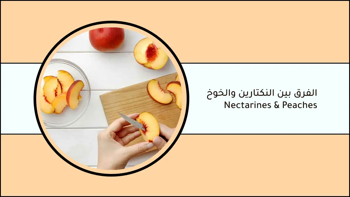الفرق بين النكتارين والخوخ - Nectarines & Peaches
